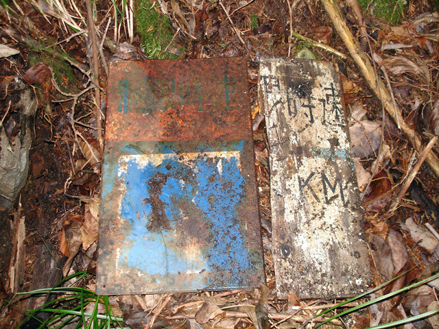 �����X�ѓS���u�K������[���򋴗��v