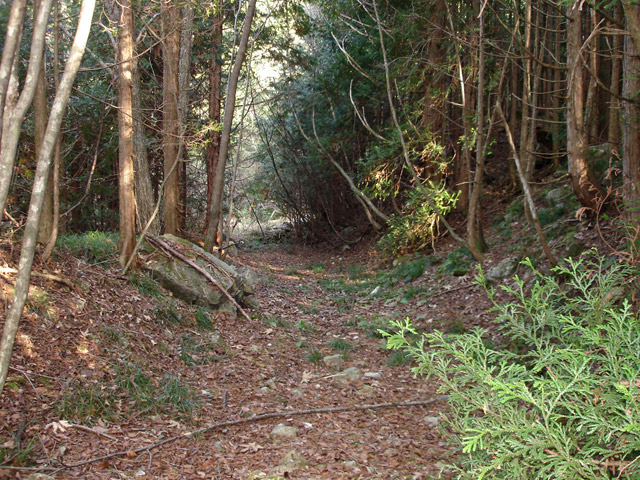 �����X�ѓS���u�K������[���򋴗��v