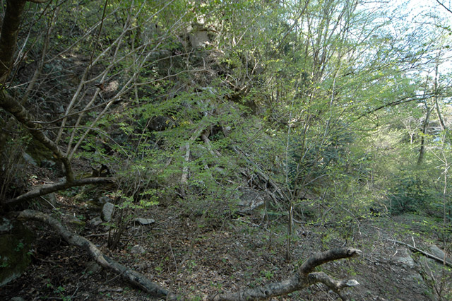 ��K�X�ѓS��,�ѓS,�p����,�H��,��K�c�я�,�؍މ^���O����