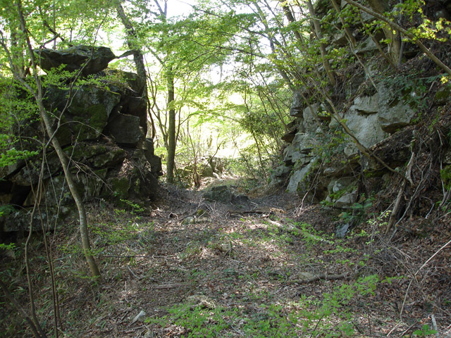 �ؑ]�X�ѓS����K��,�ѓS,�p����,�؂�ʂ�,�؍މ^���O����,��K�c�я�