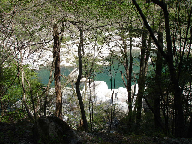 �ؑ]�X�ѓS����K��,�ѓS,�p����,�ؑ]��,�i���[�O����,����c�ы�