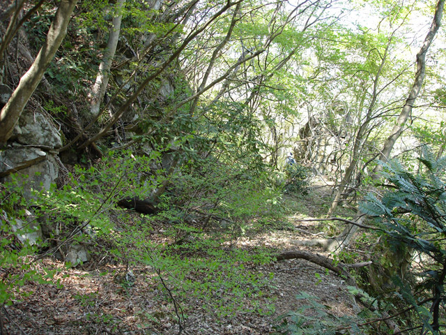 �ؑ]�X�ѓS����K��,�ѓS,�p����,��K��,�i���[�O����,����c�ы�