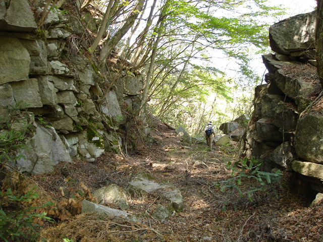 �ؑ]�X�ѓS����K��,�ѓS,�p����,�H��,����,�؂�ʂ�