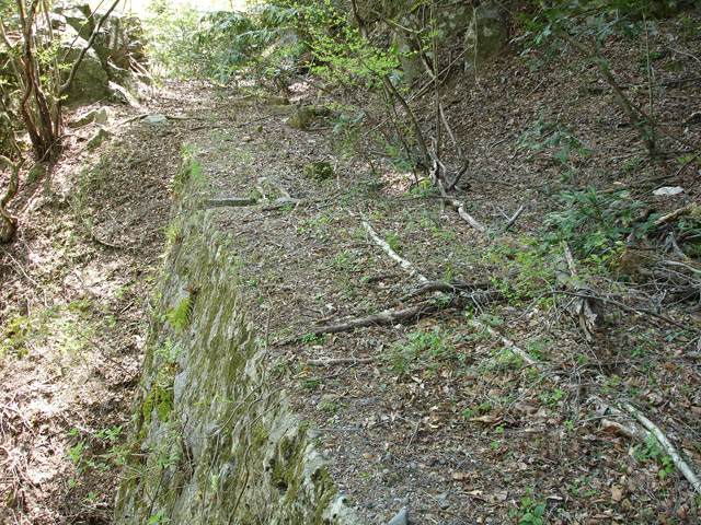 �ؑ]�X�ѓS����K��,�ѓS,�p����,�H��,����,�ΐς�