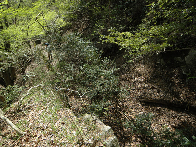 �ؑ]�X�ѓS����K��,�ѓS,�p����,�H��,����,�c�я��O��