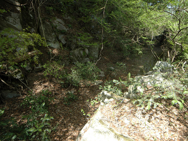 �ؑ]�X�ѓS����K��,�ѓS,�p����,762mm,2�t�B�[�g6�C���`,�c�я��O��