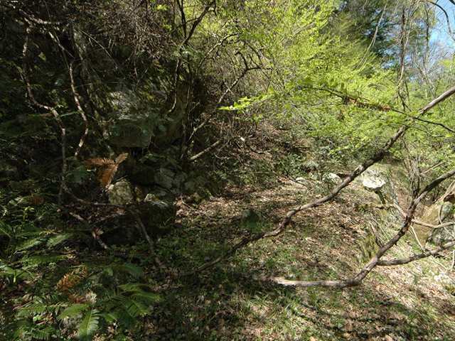 �ؑ]�쉈�ݐX�ѓS����K��,�ѓS,�p����,��K�c�я�,�H��,�y�֋O��