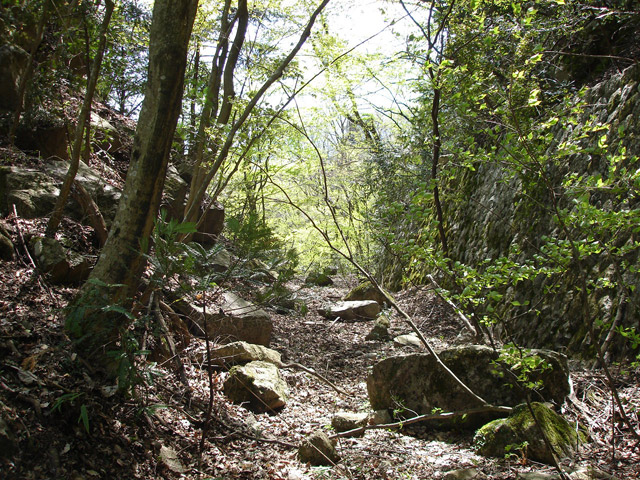 �ؑ]�쉈�ݐX�ѓS����K��,�ѓS,�p����,��K�c�я�,�؂�ʂ�,�Ί_