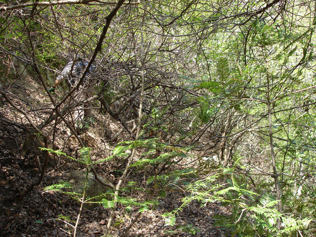 �ؑ]�쉈�ݐX�ѓS����K��,�ѓS,�p����,��K�c�я�,�H��,����c�ы�