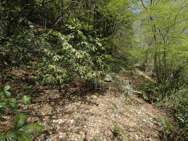 �ؑ]�쉈�ݐX�ѓS����K��,�ѓS,�p����,�؍މ^���O����,��K�c�я�,����c�ы�