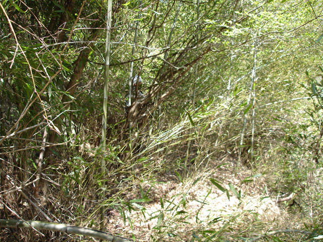 �ؑ]�쉈�ݐX�ѓS����K��,�ѓS,�p����,�؍މ^���O����,�v��,�