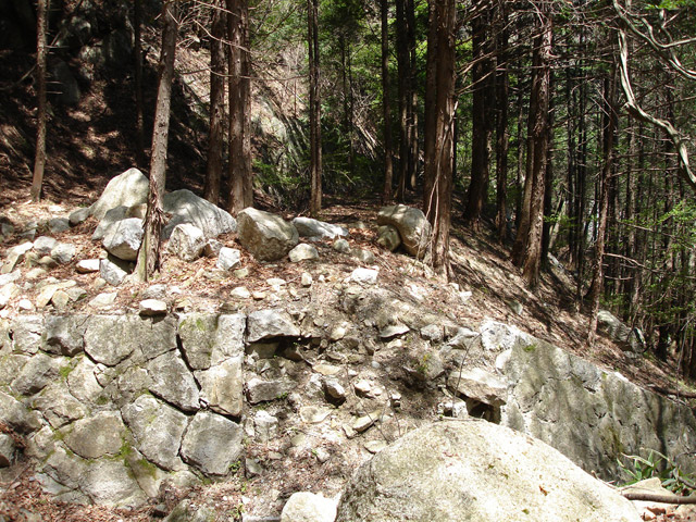 �ؑ]�X�ѓS����K��,�ѓS,�p����,�J��,���H,�i���[�O����