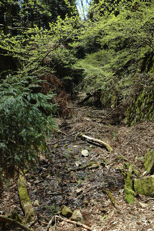 �ؑ]�쉈�ݐX�ѓS����K��,�ѓS,�p����,���n��,����,�i���[�O����