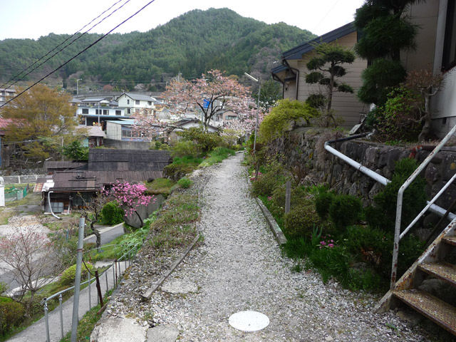 �ؑ]�X�ѓS��,�������ݐ�,�ѓS,�p����