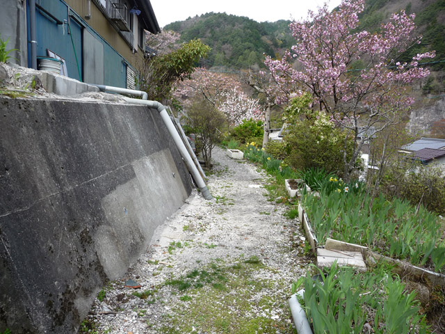 �X�ѓS��,�ѓS,�p����,�O����