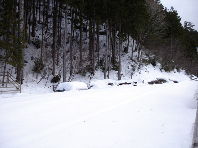 �ԑ򎩑R�x�{��,�ԑ�X�ѓS��,�ѓS,�ؑ]�X�ѓS��