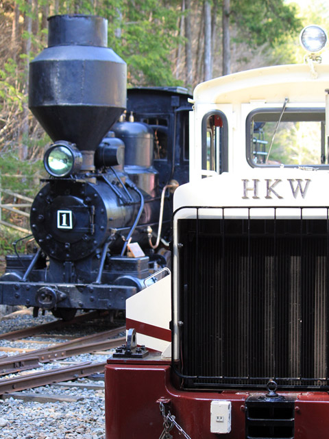 �ԑ򎩑R�x�{��,�ԑ�X�ѓS��,�{�[���h�E�B�����C�@�֎�,�k�d�@�֎�