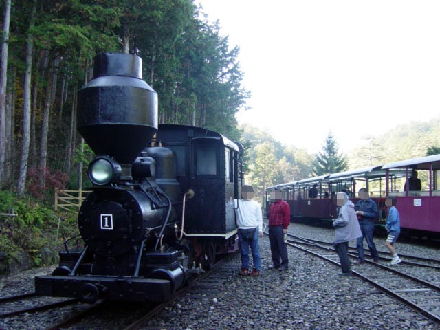 �ԑ򎩑R�x�{��,�ԑ�X�ѓS��,�{�[���h�E�B�����C�@�֎�,�ѓS