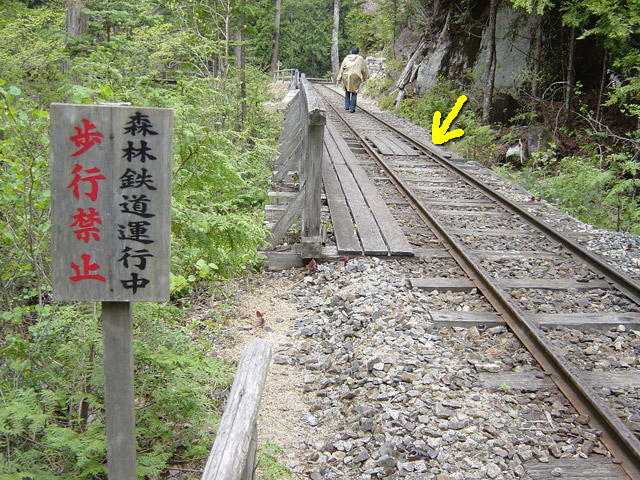 赤沢森林鉄道,赤沢自然休養林.木曽森林鉄道,林鉄