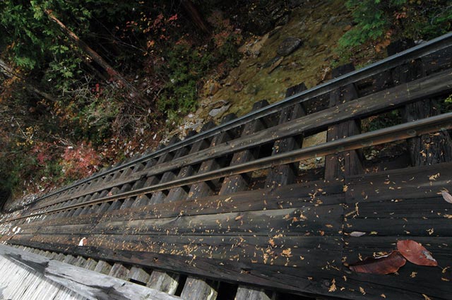 �ԑ�X�ѓS��,�ԑ򎩑R�x�{��,�ѓS,�؋�