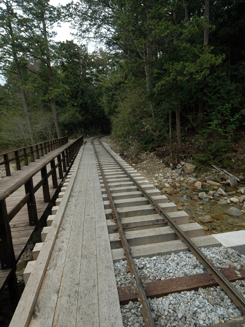 �ԑ�X�ѓS��,�ԑ򎩑R�x�{��,�ѓS,���싴