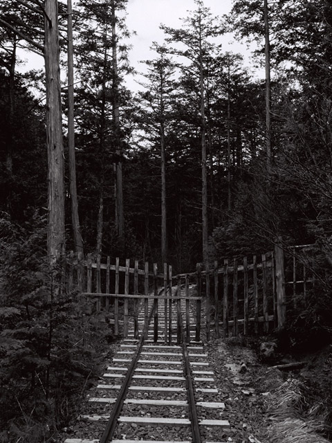 �ԑ򎩑R�x�{��,,�Q�[�g,�ԑ�X�ѓS��,�ѓS