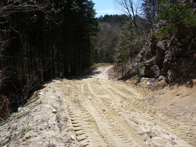 �ؑ]�X�ѓS����������,�㏼,�ѓS,�p����,�ѓ�