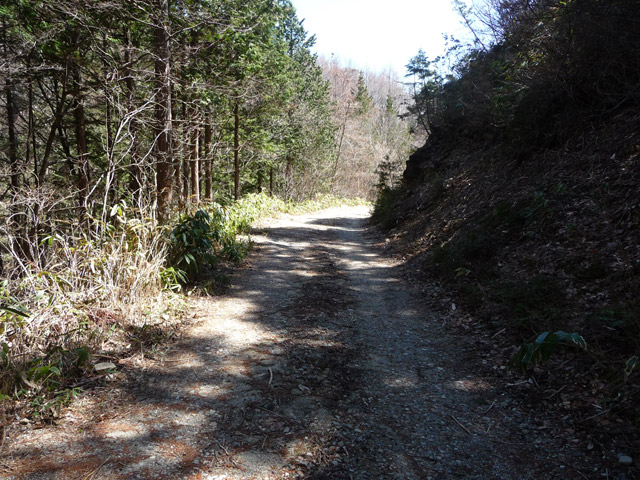 �ؑ]�X�ѓS����������,�㏼,�ѓS,�p����,�ѓ�