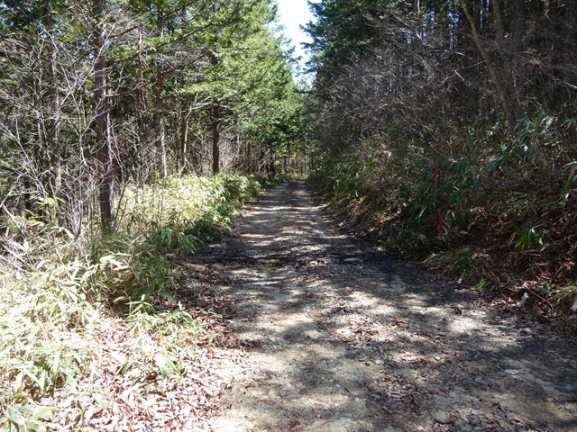 �ؑ]�X�ѓS����������,�㏼,�ѓS,�p����,�ѓ�