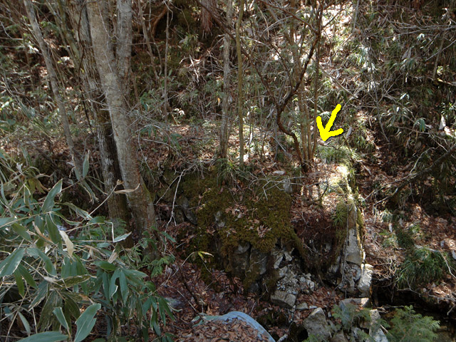 �������X�ѓS��,������,�ѓS,�p����,�ؑ]�X