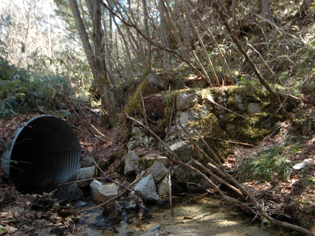 �������X�ѓS��,������,�ѓS,�p����,�ؑ]�X