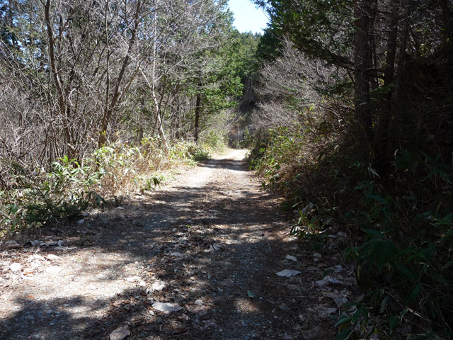 �������X�ѓS��,������,�ѓS,�p����,�ؑ]�X