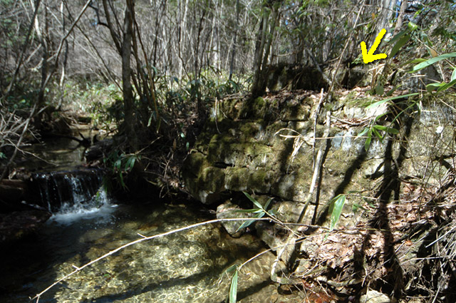 �������X�ѓS��,������,�ѓS,�p����,�ؑ]�X