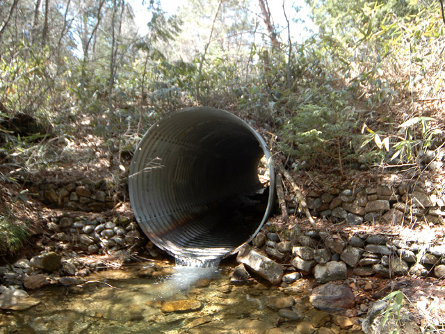 �������X�ѓS��,�ѓ�,�ѓS,�p����,�ؑ]�X