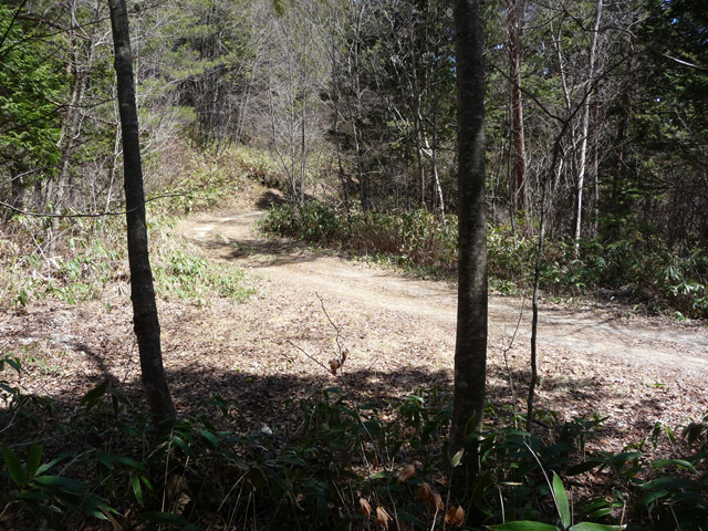 �ؑ]�X�ѓS����������,�ѓS,�p����,����