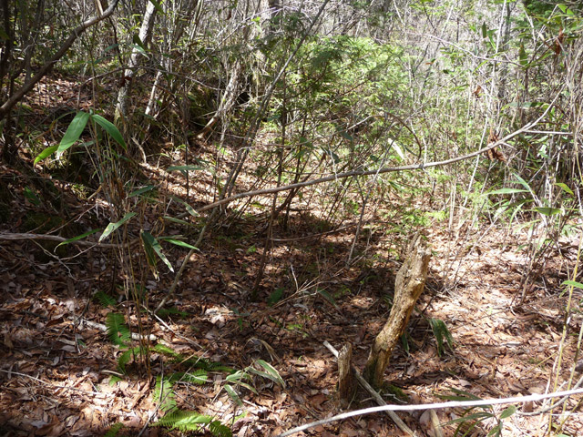 �ؑ]�X�ѓS����������,�ѓS,�p����,����