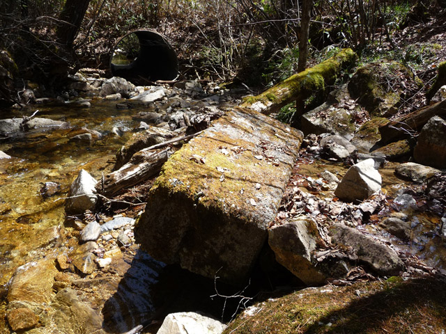 �������X�ѓS��,������,�ѓS,�p����,�ؑ]�X