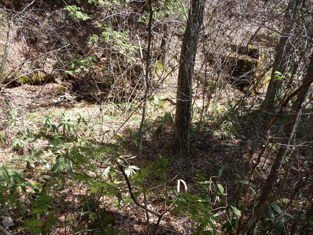 �������X�ѓS��,������,�ѓS,�p����,�ؑ]�X