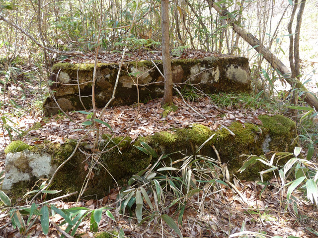 �������X�ѓS��,������,�ѓS,�p����,�ؑ]�X