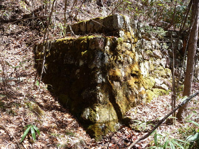 �������X�ѓS��,������,�ѓS,�p����,�ؑ]�X