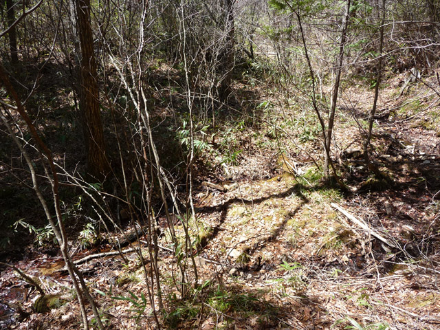 �������X�ѓS��,������,�ѓS,�p����,�ؑ]�X