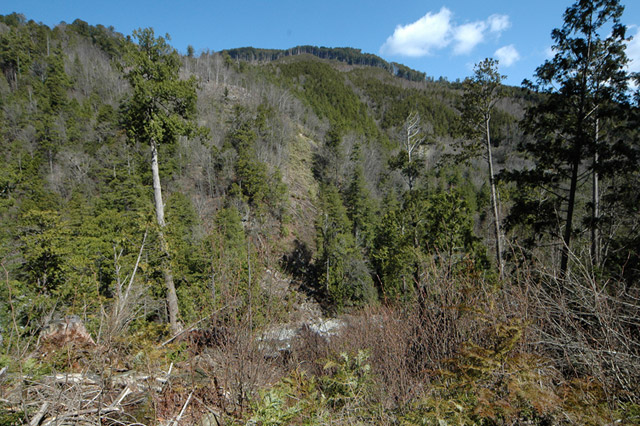 ����X�ѓS��,�ѓS,�p����,�㏼�c�я�,�O����