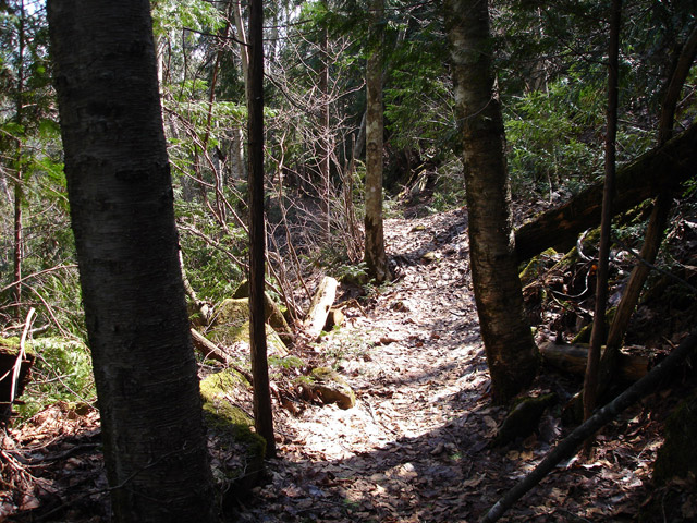 ����X�ѓS��,�ѓS,�p����,�㏼�c�я�,�O����