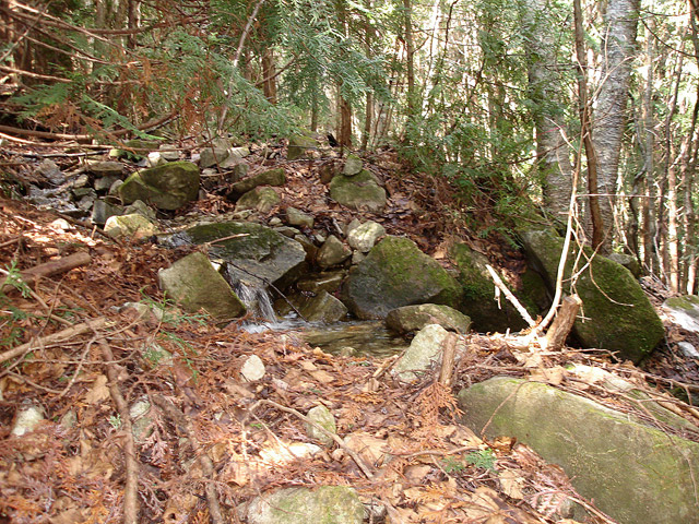 ����X�ѓS��,�ѓS,�p����,�㏼�c�я�,�O����