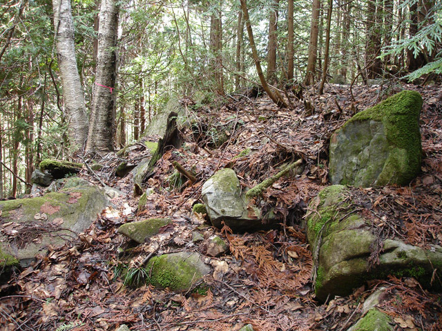 ����X�ѓS��,�ѓS,�p����,�㏼�c�я�,�O����