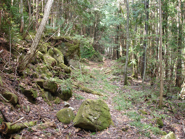 ����X�ѓS��,�ѓS,�p����,�㏼�c�я�,�O����