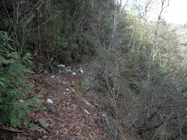 ����X�ѓS��,�ѓS,�p����,�㏼�c�я�,�O����