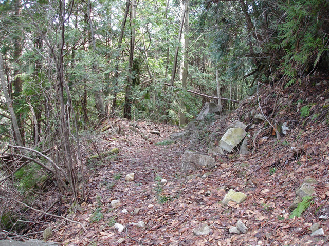 ����X�ѓS��,�ѓS,�p����,�㏼�c�я�,�O����