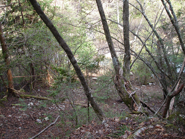 ����X�ѓS��,�ѓS,�p����,�㏼�c�я�,�O����