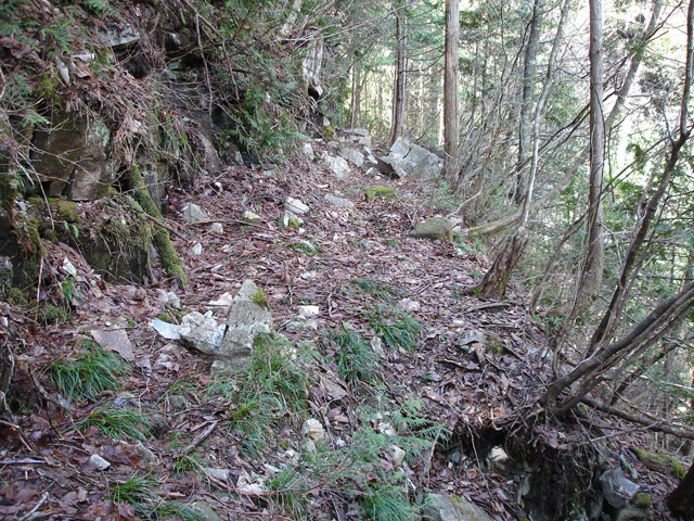 ����X�ѓS��,�ѓS,�p����,�㏼�c�я�,�O����